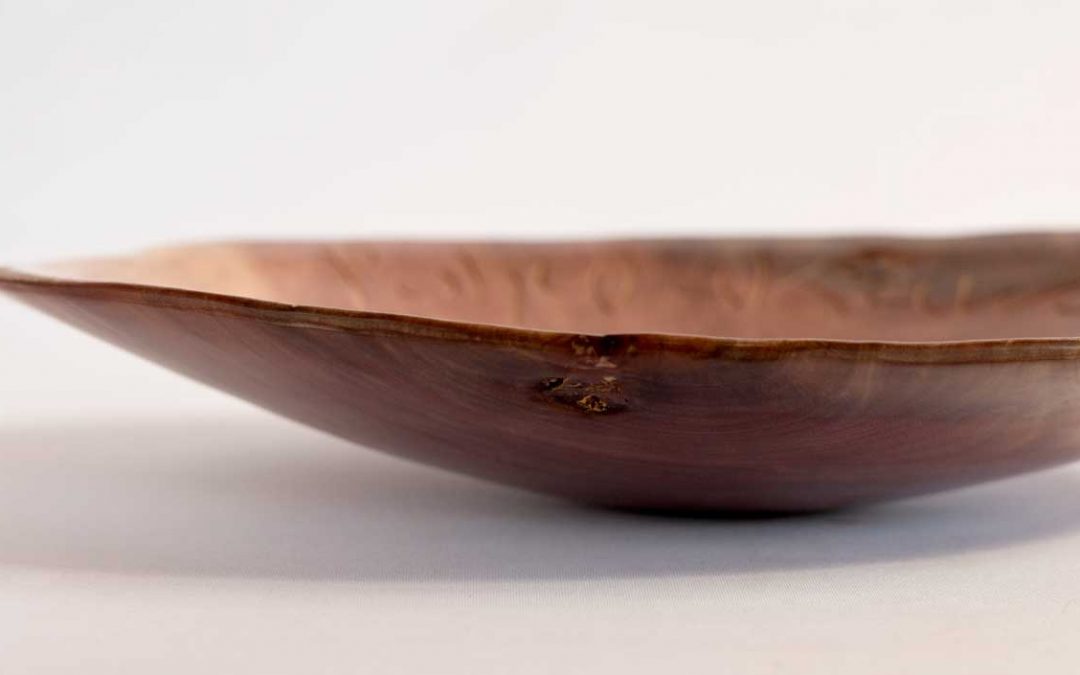Pohutukawa Platter No198 (2018)