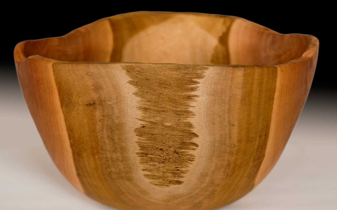 Silver Dollar Bowl No84 (2015)