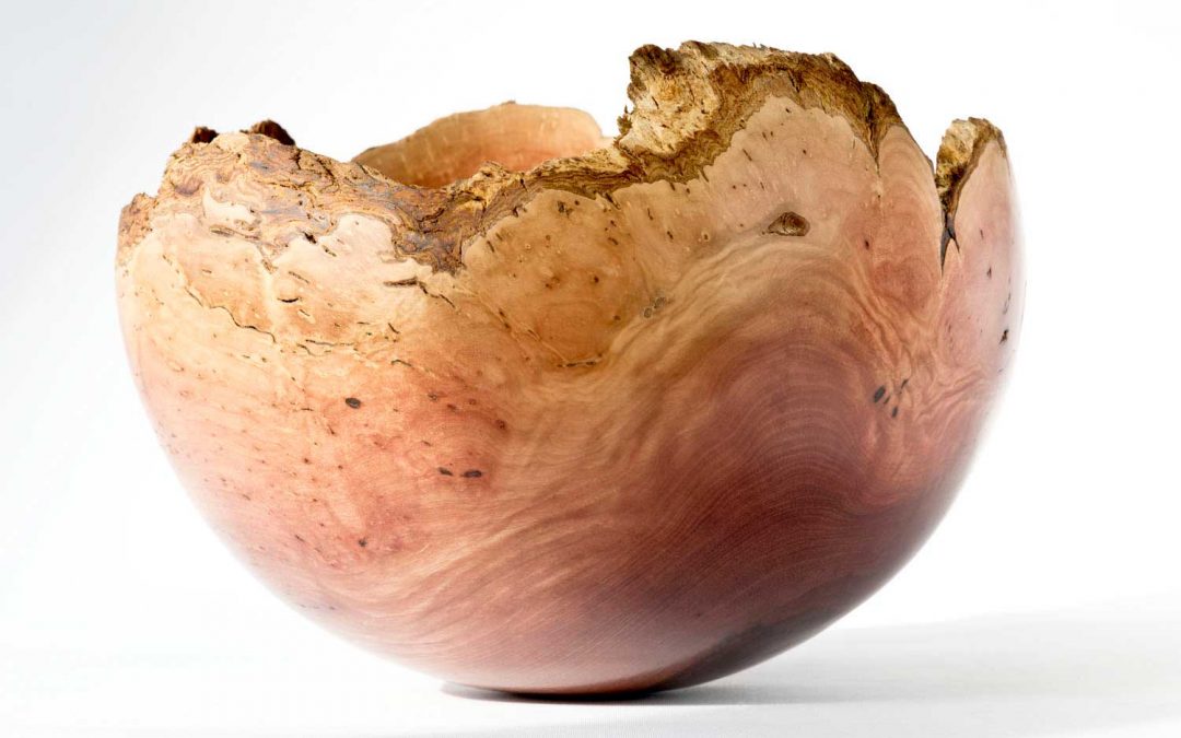 Natural Edge Bowl No224 (2019)