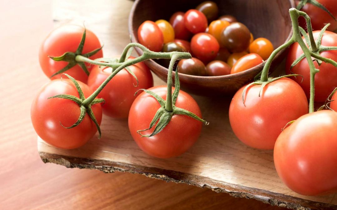The Best Fruit Bowls: How to Store Fruit and Keep It Fresh Longer