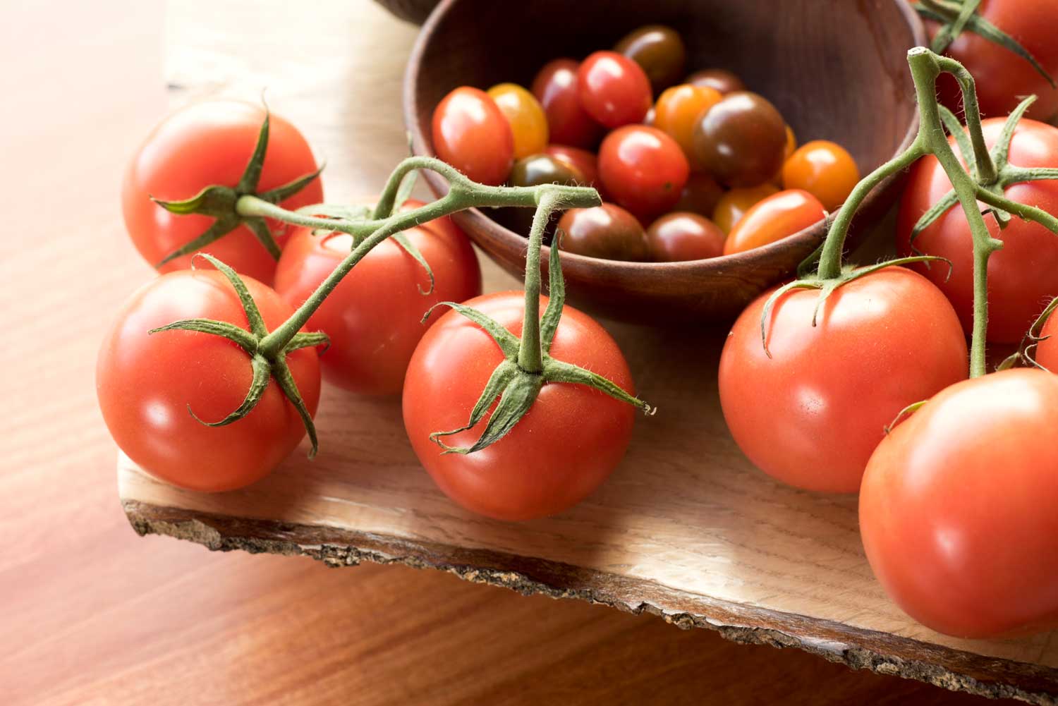 The Best Fruit Bowls: How to Store Fruit and Keep It Fresh Longer